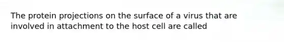 The protein projections on the surface of a virus that are involved in attachment to the host cell are called