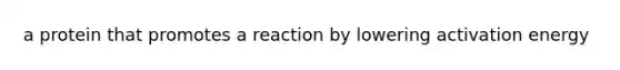 a protein that promotes a reaction by lowering activation energy