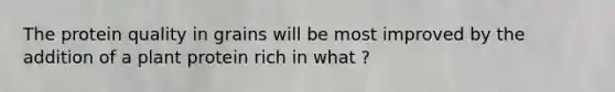 The protein quality in grains will be most improved by the addition of a plant protein rich in what ?