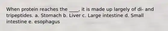 When protein reaches the ____, it is made up largely of di- and tripeptides. a. Stomach b. Liver c. Large intestine d. Small intestine e. esophagus