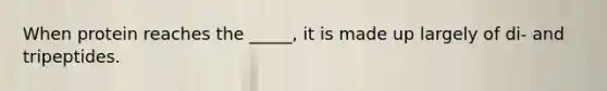 When protein reaches the _____, it is made up largely of di- and tripeptides.
