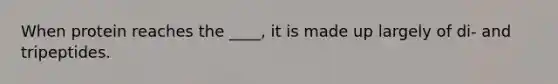 When protein reaches the ____, it is made up largely of di- and tripeptides.