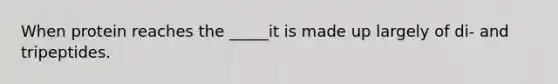 When protein reaches the _____it is made up largely of di- and tripeptides.