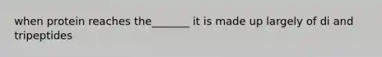 when protein reaches the_______ it is made up largely of di and tripeptides