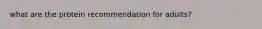 what are the protein recommendation for adults?