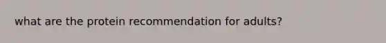 what are the protein recommendation for adults?