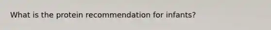 What is the protein recommendation for infants?