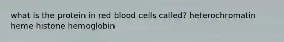 what is the protein in red blood cells called? heterochromatin heme histone hemoglobin