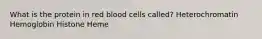 What is the protein in red blood cells called? Heterochromatin Hemoglobin Histone Heme