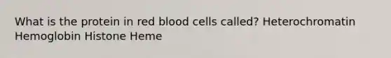 What is the protein in red blood cells called? Heterochromatin Hemoglobin Histone Heme