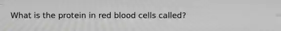 What is the protein in red blood cells called?