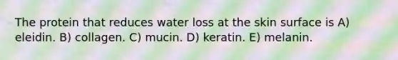 The protein that reduces water loss at the skin surface is A) eleidin. B) collagen. C) mucin. D) keratin. E) melanin.