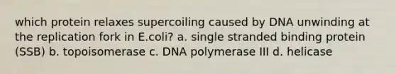 which protein relaxes supercoiling caused by DNA unwinding at the replication fork in E.coli? a. single stranded binding protein (SSB) b. topoisomerase c. DNA polymerase III d. helicase