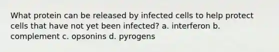 What protein can be released by infected cells to help protect cells that have not yet been infected? a. interferon b. complement c. opsonins d. pyrogens