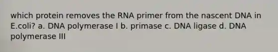 which protein removes the RNA primer from the nascent DNA in E.coli? a. DNA polymerase I b. primase c. DNA ligase d. DNA polymerase III