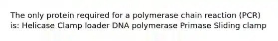 The only protein required for a polymerase chain reaction (PCR) is: Helicase Clamp loader DNA polymerase Primase Sliding clamp