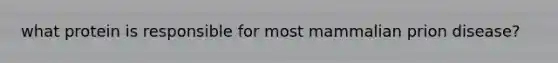 what protein is responsible for most mammalian prion disease?