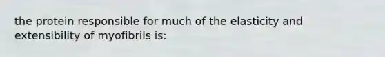 the protein responsible for much of the elasticity and extensibility of myofibrils is: