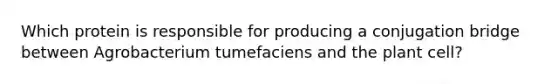 Which protein is responsible for producing a conjugation bridge between Agrobacterium tumefaciens and the plant cell?