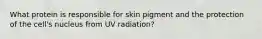 What protein is responsible for skin pigment and the protection of the cell's nucleus from UV radiation?