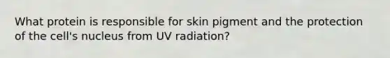 What protein is responsible for skin pigment and the protection of the cell's nucleus from UV radiation?