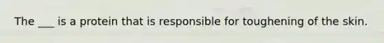 The ___ is a protein that is responsible for toughening of the skin.