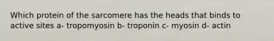 Which protein of the sarcomere has the heads that binds to active sites a- tropomyosin b- troponin c- myosin d- actin