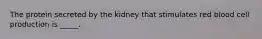 The protein secreted by the kidney that stimulates red blood cell production is _____.