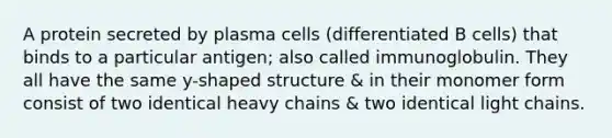 A protein secreted by plasma cells (differentiated B cells) that binds to a particular antigen; also called immunoglobulin. They all have the same y-shaped structure & in their monomer form consist of two identical heavy chains & two identical light chains.