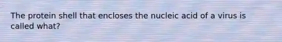 The protein shell that encloses the nucleic acid of a virus is called what?