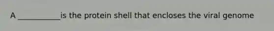 A ___________is the protein shell that encloses the viral genome