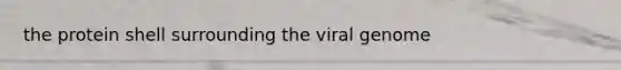 the protein shell surrounding the viral genome