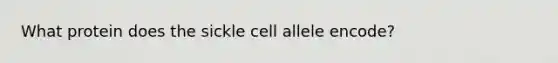 What protein does the sickle cell allele encode?