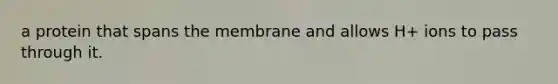 a protein that spans the membrane and allows H+ ions to pass through it.