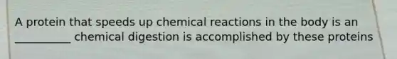 A protein that speeds up chemical reactions in the body is an __________ chemical digestion is accomplished by these proteins