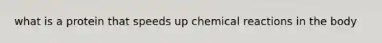 what is a protein that speeds up chemical reactions in the body