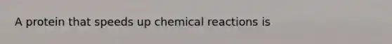 A protein that speeds up chemical reactions is