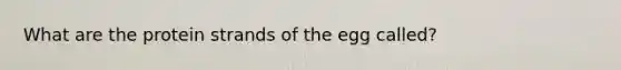 What are the protein strands of the egg called?