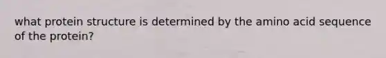 what protein structure is determined by the amino acid sequence of the protein?