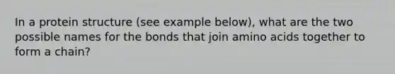 In a protein structure (see example below), what are the two possible names for the bonds that join amino acids together to form a chain?