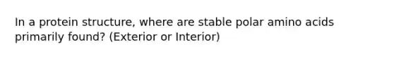 In a protein structure, where are stable polar amino acids primarily found? (Exterior or Interior)