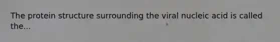 The protein structure surrounding the viral nucleic acid is called the...