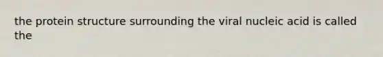 the protein structure surrounding the viral nucleic acid is called the