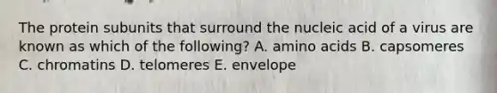 The protein subunits that surround the nucleic acid of a virus are known as which of the following? A. amino acids B. capsomeres C. chromatins D. telomeres E. envelope