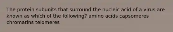 The protein subunits that surround the nucleic acid of a virus are known as which of the following? amino acids capsomeres chromatins telomeres