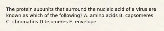 The protein subunits that surround the nucleic acid of a virus are known as which of the following? A. amino acids B. capsomeres C. chromatins D.telomeres E. envelope