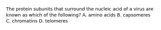 The protein subunits that surround the nucleic acid of a virus are known as which of the following? A. <a href='https://www.questionai.com/knowledge/k9gb720LCl-amino-acids' class='anchor-knowledge'>amino acids</a> B. capsomeres C. chromatins D. telomeres