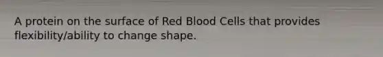 A protein on the surface of Red Blood Cells that provides flexibility/ability to change shape.