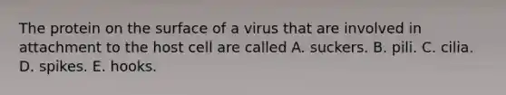 The protein on the surface of a virus that are involved in attachment to the host cell are called A. suckers. B. pili. C. cilia. D. spikes. E. hooks.