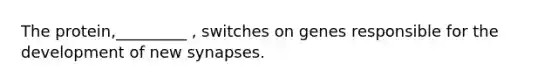 The protein,_________ , switches on genes responsible for the development of new synapses.